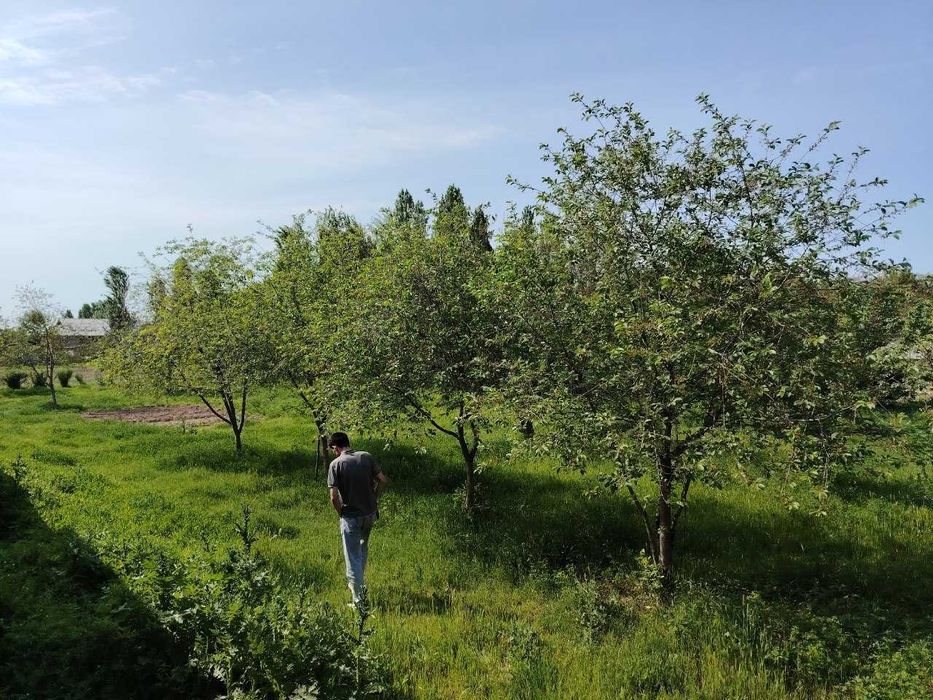 Yer uchaskasi sotiladi