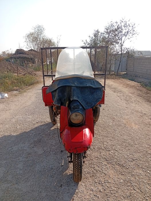 Муравей российский