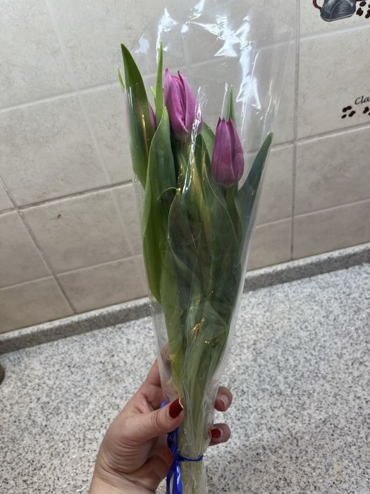 Тюльпан по 650тг шт