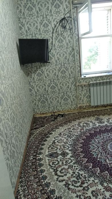 Algoritm 31 kvartal. Ijarachi 3  ta qiz kerak.