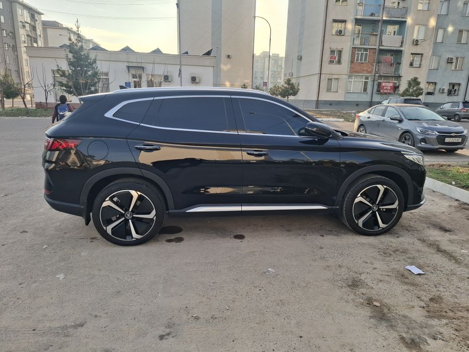 BYD Son Plus Flagship 2023