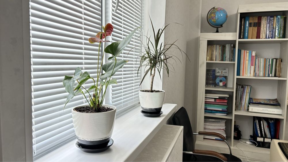 Психолог қазақша