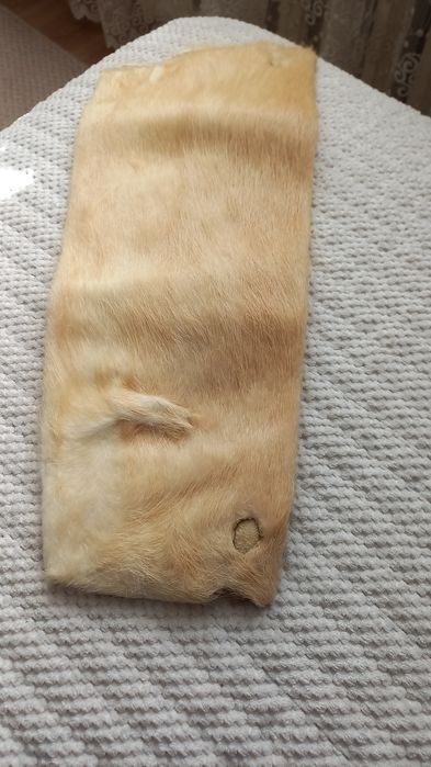 Продам шкурку нутрии
