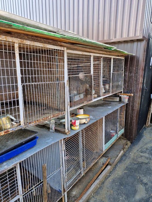 Продам клетки для кроликов