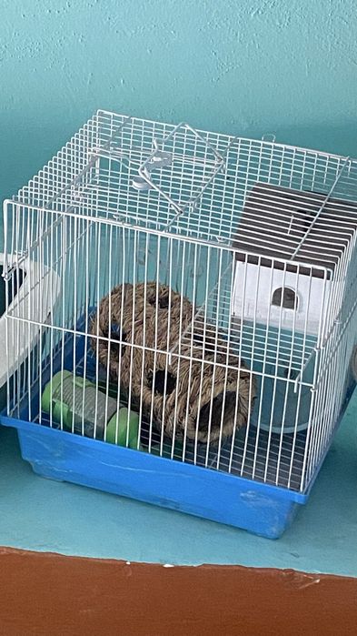 Клетка для хомяка