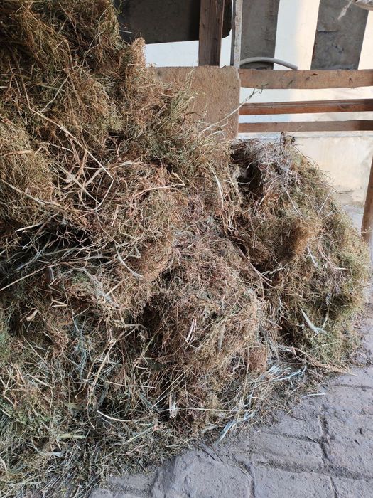 Хашак сотилади тайор богланган