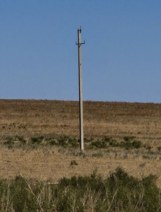 Кора сатылады Байдыбек ауданы