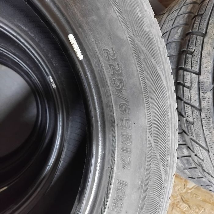 Автошина Лекковой