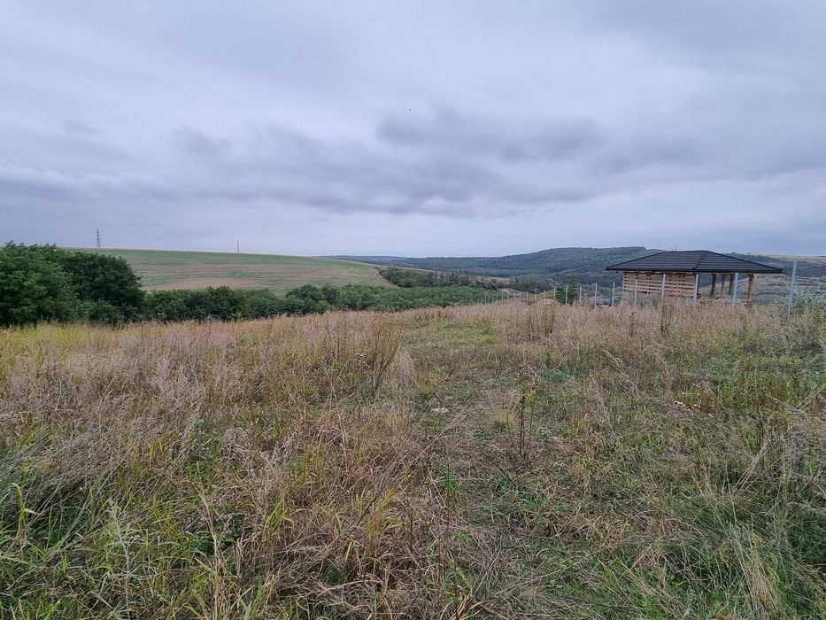 Teren intravilan Dorobant (Aroneanu)