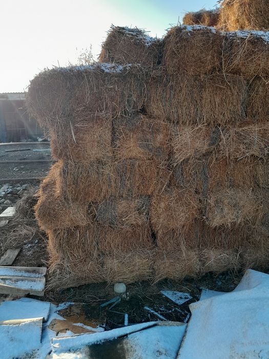 Жоңышқа, жантақ сатылады