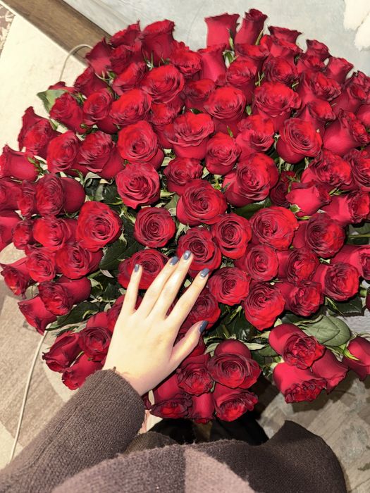 101 Роза. Свежые