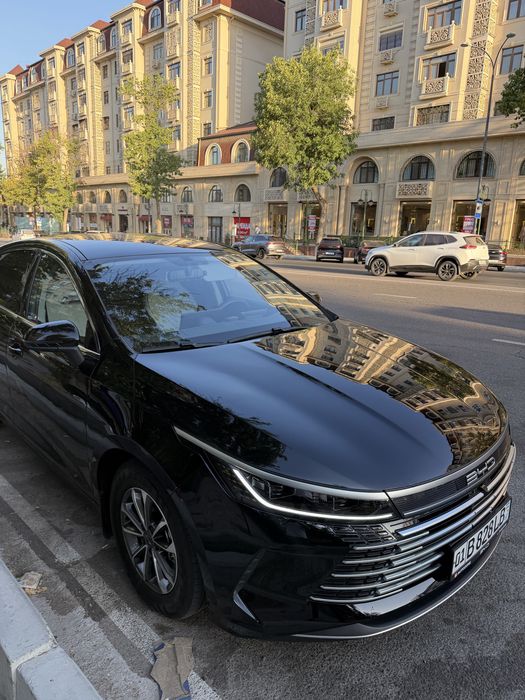 Byd chazor 55 tali