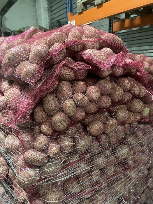 Cartofi rosu si alb la pret foarte convenabil