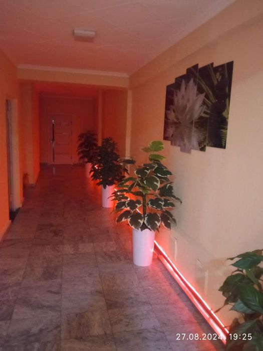 Xona arenda, Сдаются кабинеты в центре города,под разного вида услуг