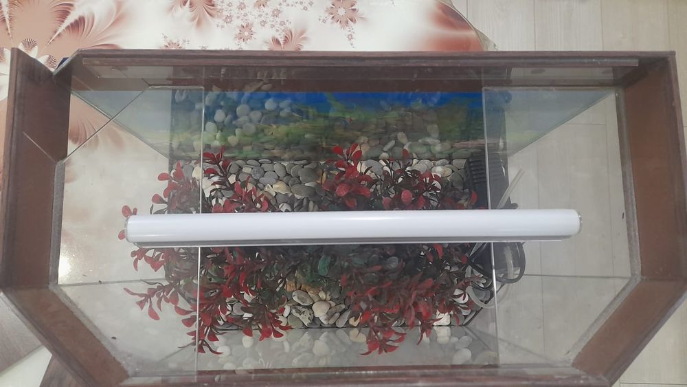 аквариум для рыбок