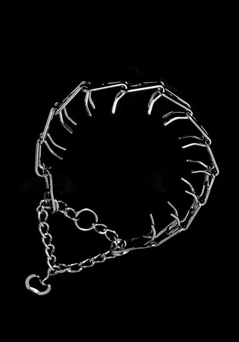 Zgarda caine cu tepi , autoblocare pentru câini puternici