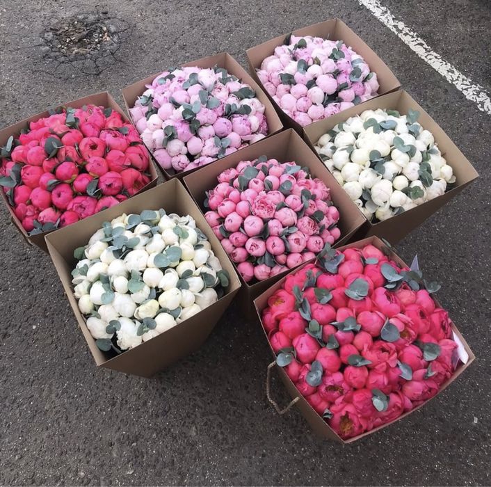 Розы. Гортензии. Пионы. Букеты