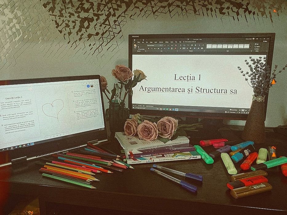 Meditații Logică Bacalaureat