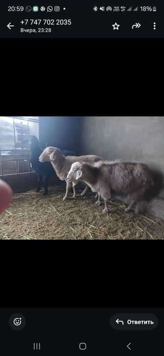 Ешкілер сатылады