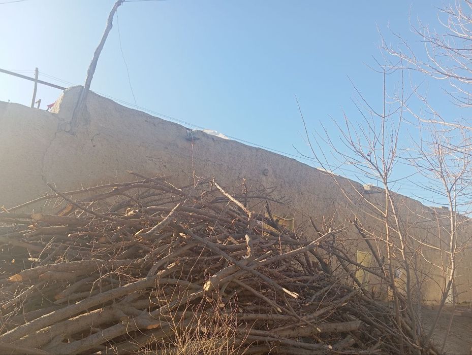 Daraxt va o'tin sotiladi