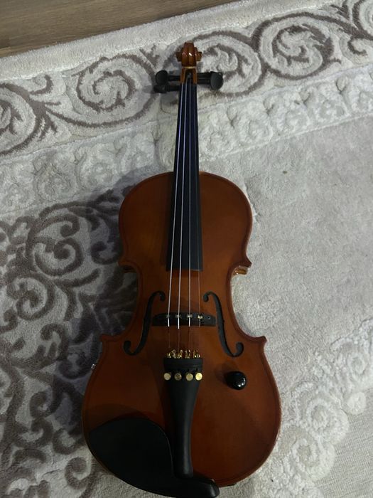 Vand vioara electrica zeta placa mica