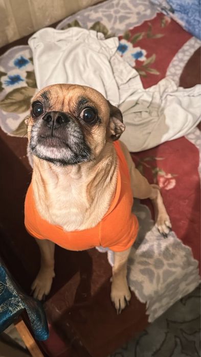 Вязка.   Кабель