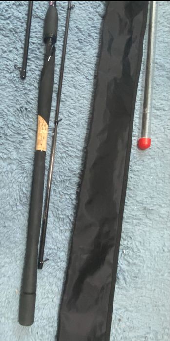 Daiwa Air Ags 10/11 ft 50gr