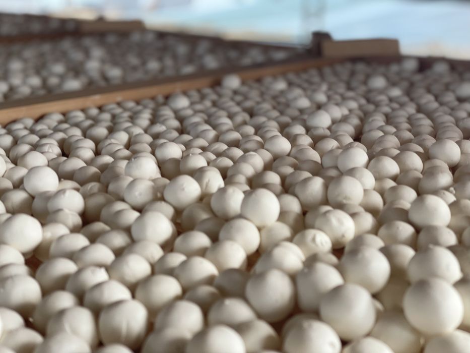 100% ishimizga javob beramiz