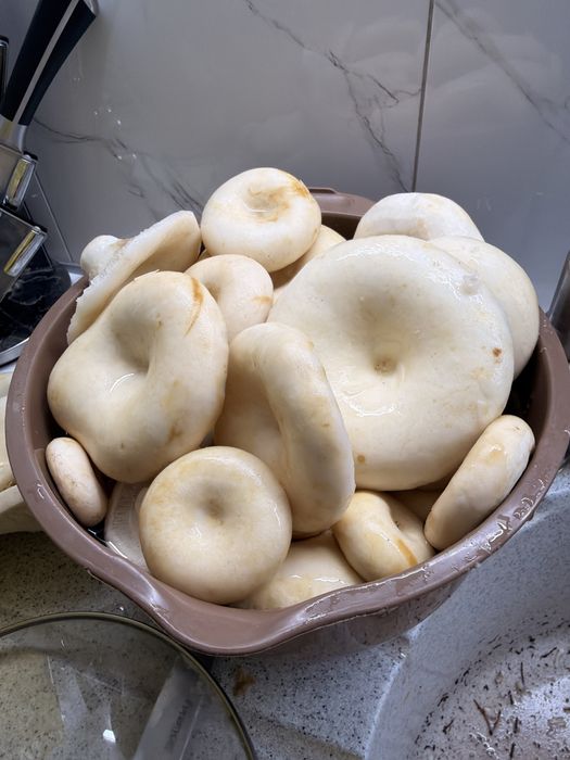 Продам грузди грибы