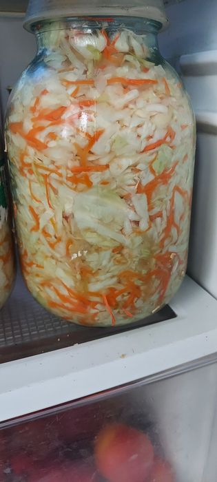 Квашеная   капуств