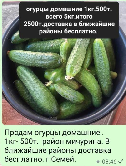Огурцы хрустящие