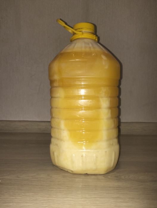 Мёд катонский травинной