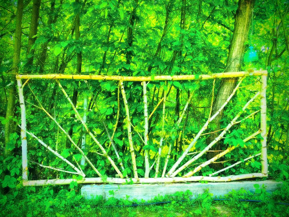 Panou gard mesteacăn stabilizat