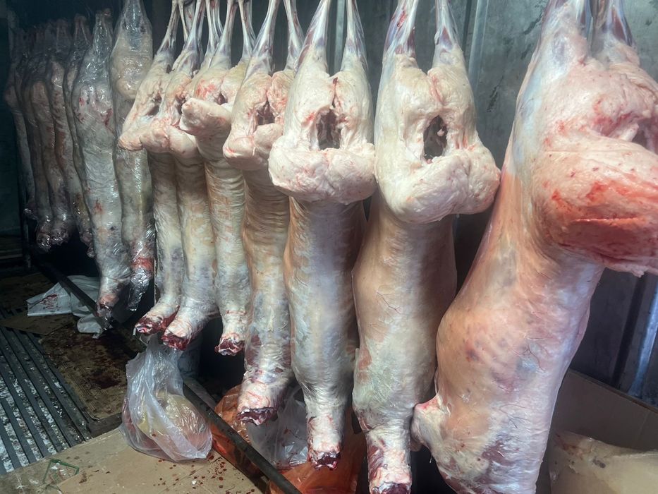 Продам мясо баранины