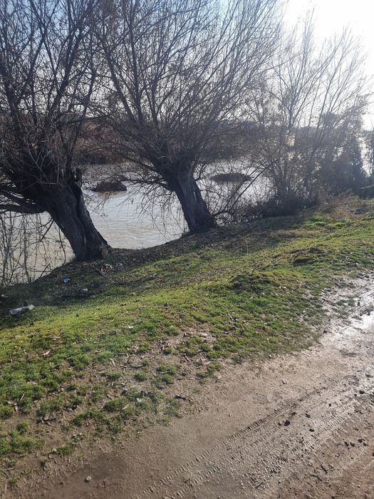 Uchaska sotiladi zor lakasiyada