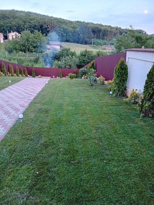 Rulouri de gazon si diferite Plante Naturale
