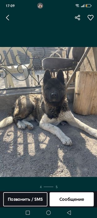 Продам или обмен