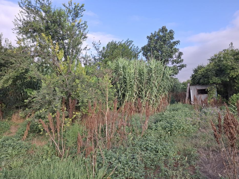 Vand teren 4000 MP - Cheia/ Cheile Dobrogei, judetul Constanta