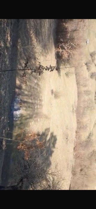 Teren de vânzare 11000 mp