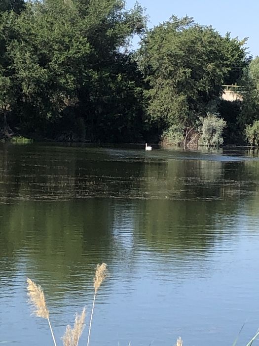 Продам зарыбленное озеро