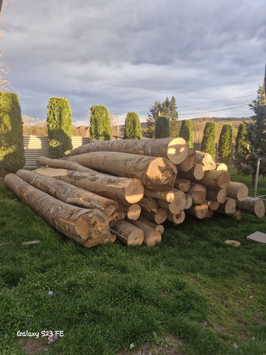 Lemn de foc fag bustean