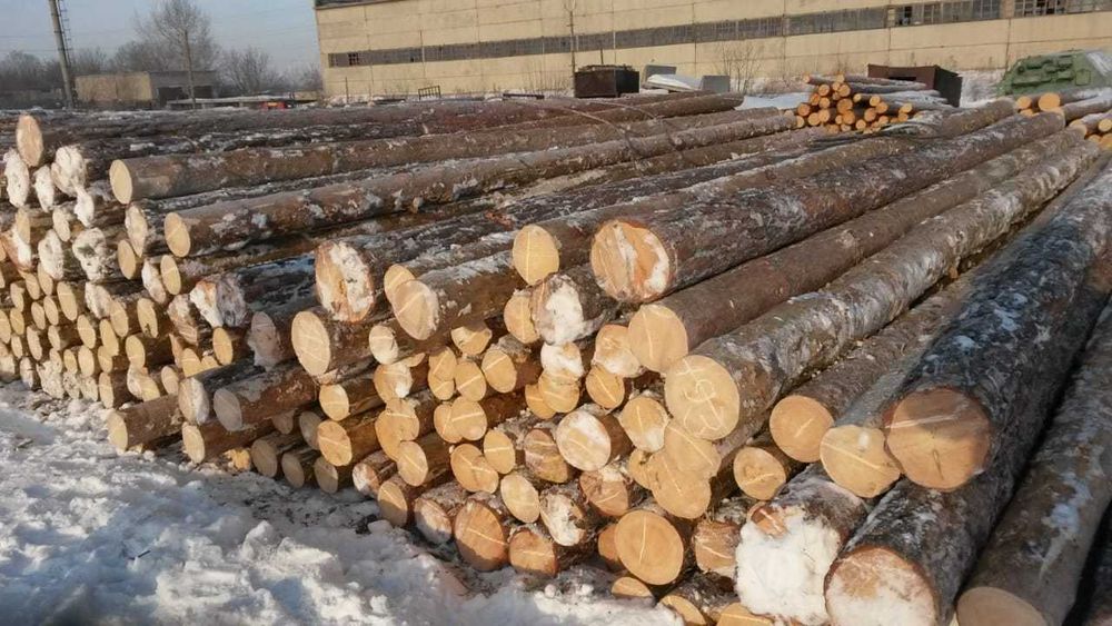 Деревянные опоры для ЛЭП и пиломатериалы