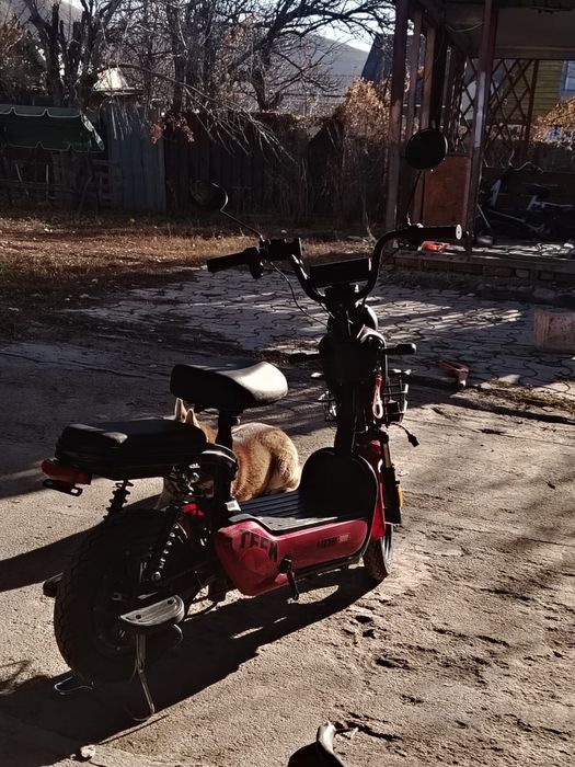 Электрический скутер