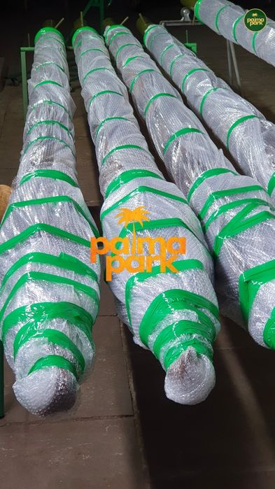 Искусственные пальмы