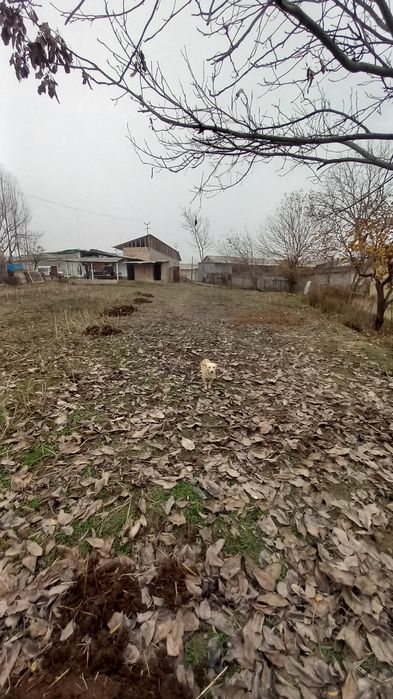 Участка сотилади