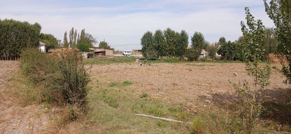 1gektar yer sotiladi