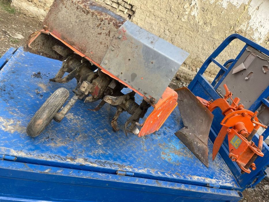 Freză Pasquali  400 euro negociabil