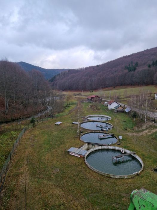 LANGA BRAȘOV, casa de vacanță, PĂSTRĂVĂRIE,iaz cu pești, CASUTA cu ter