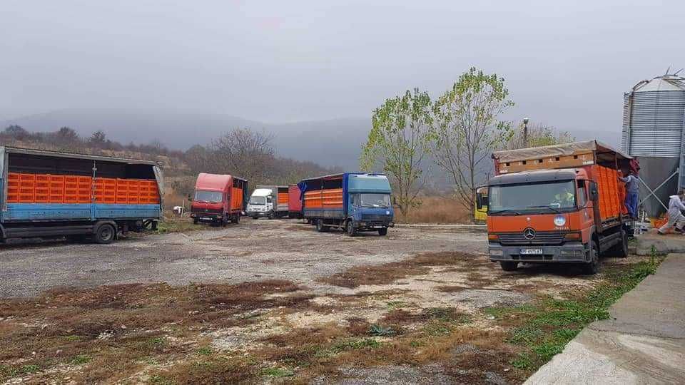 Дава се под наем Промишлена сграда в с. Балкански, Област Разград - 10000 кв.м за 867 € - Снимка #3