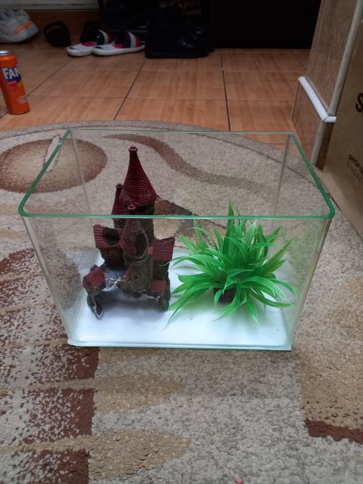 Vând acvariu și accesorii. O planta și un castel.